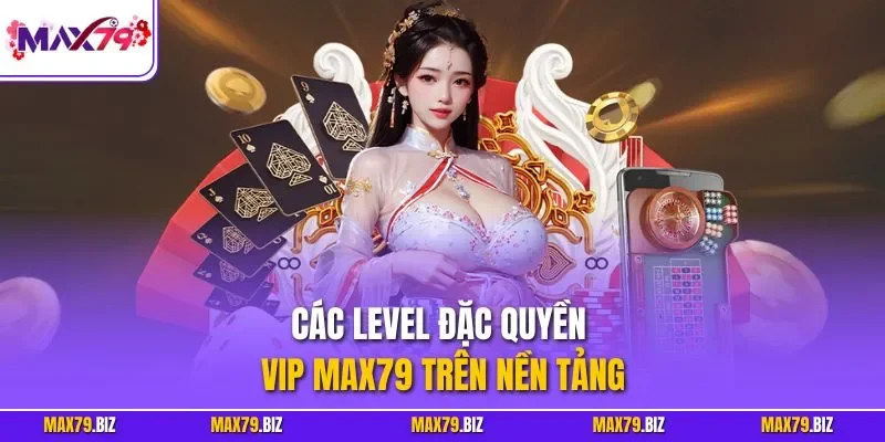 Các level đặc quyền Vip MAX79 trên nền tảng 
