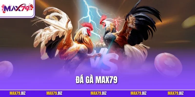 Đá gà MAX79