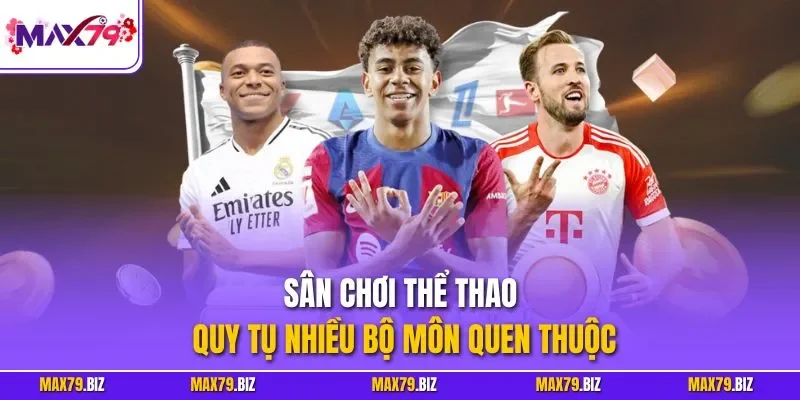 Sân chơi thể thao quy tụ nhiều bộ môn quen thuộc