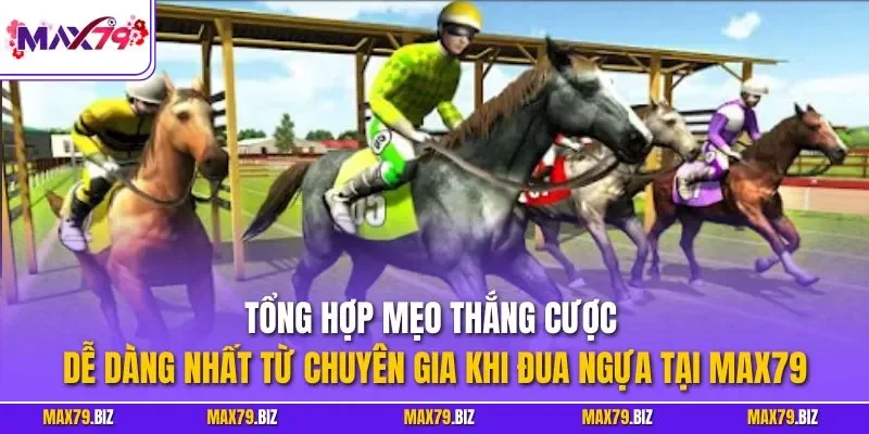 Tổng hợp mẹo thắng cược dễ dàng nhất từ chuyên gia khi đua ngựa tại MAX79
